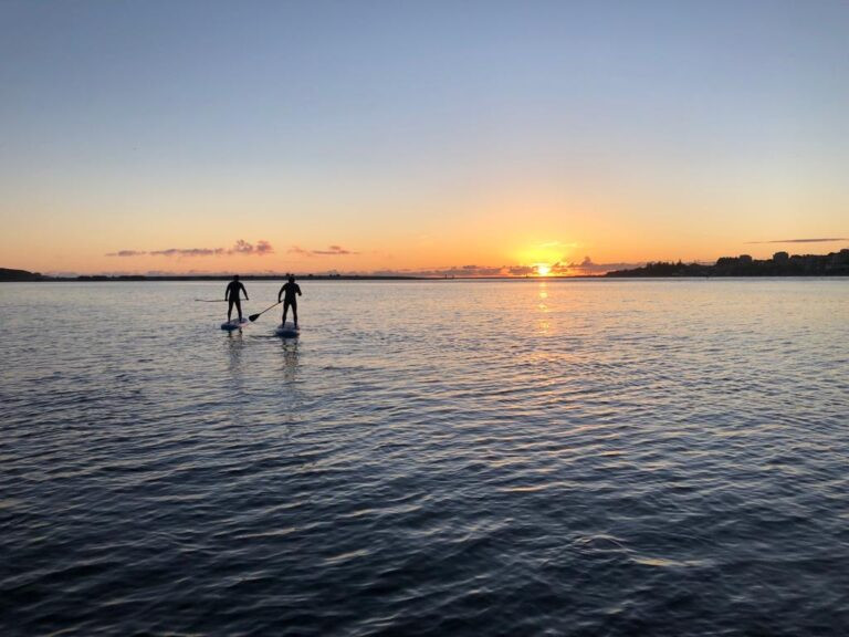 Paddleboard