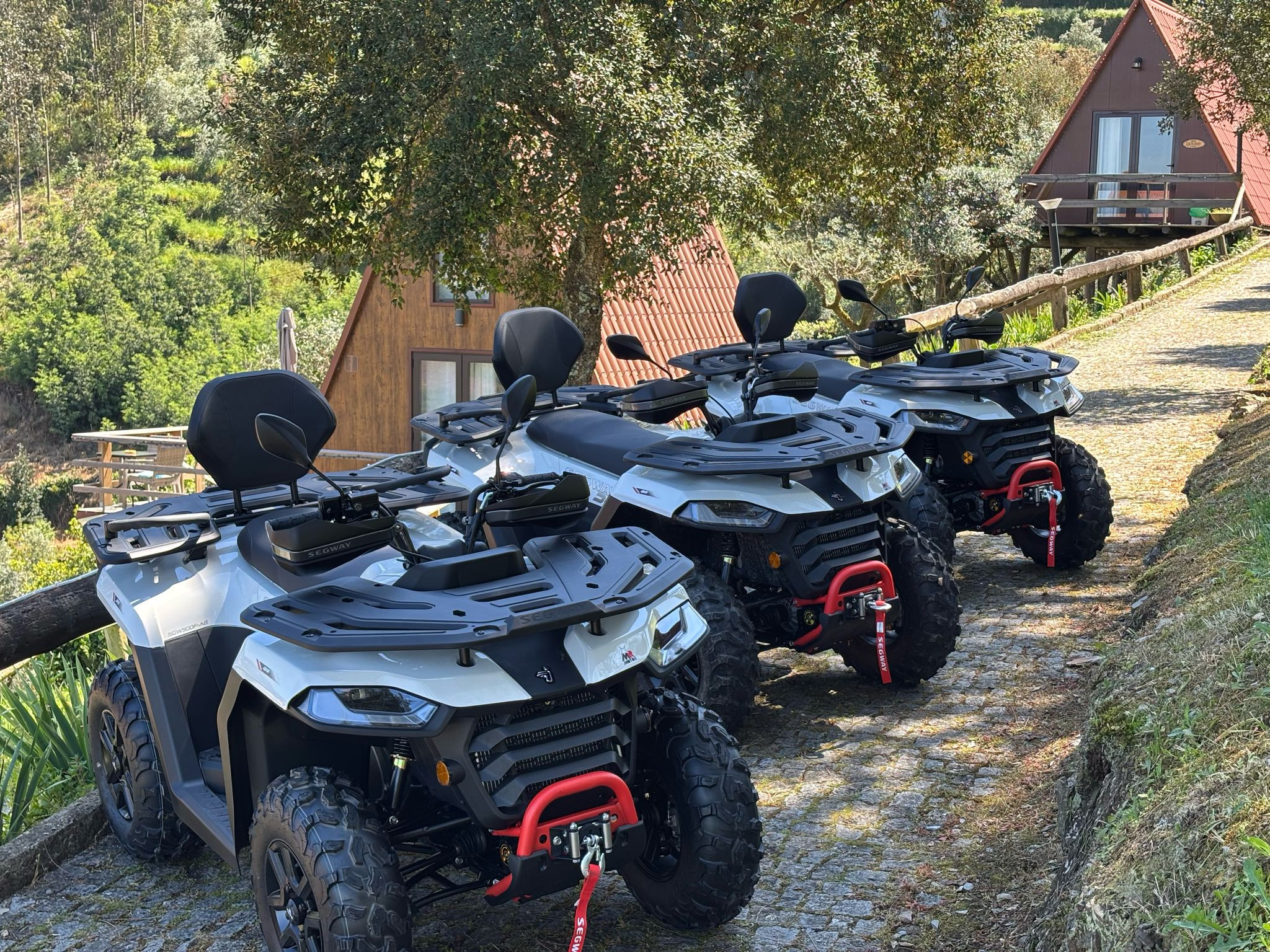 Passeio Guiado Moto 4